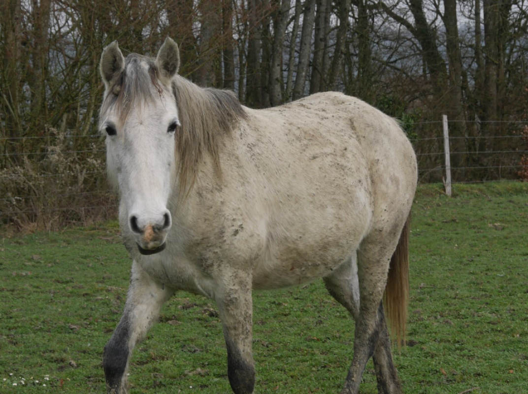 Photo de Fille de belnoe