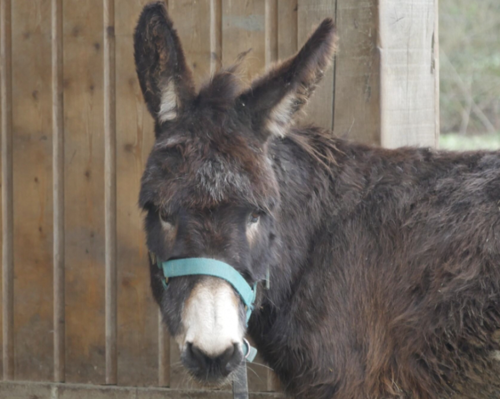 Photo de Quito de belnoe