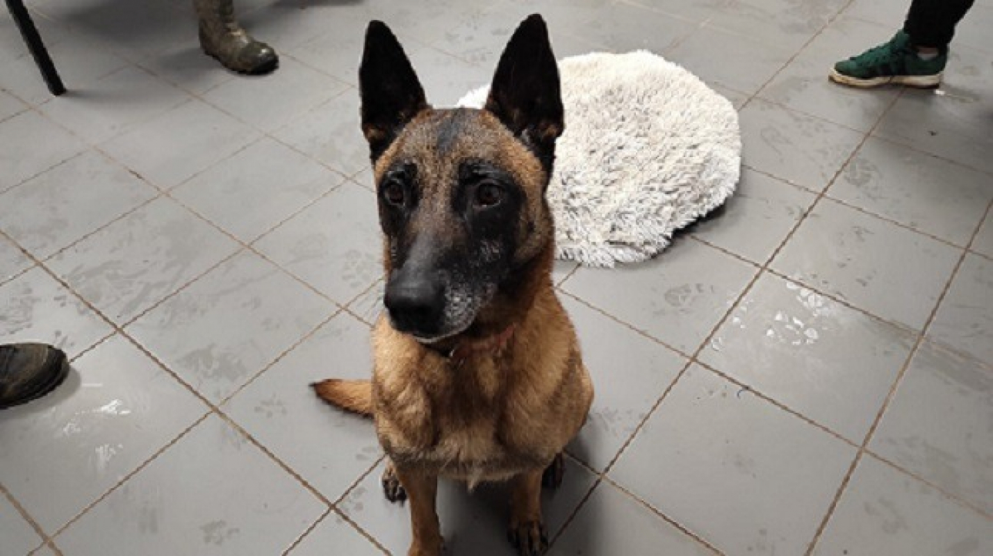 Photo #2 de Xena