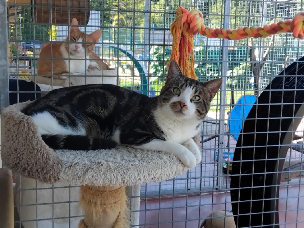 Photo #3 de Psyche dit mutti