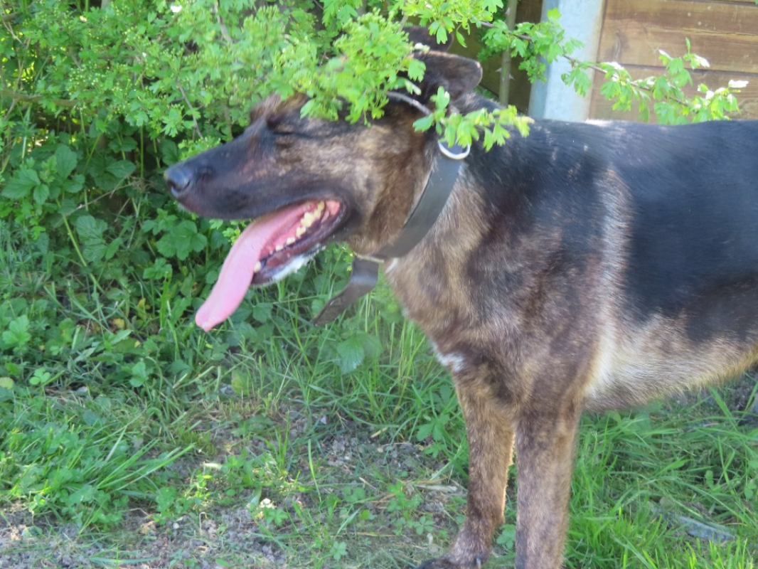 Photo #6 de Sarabi