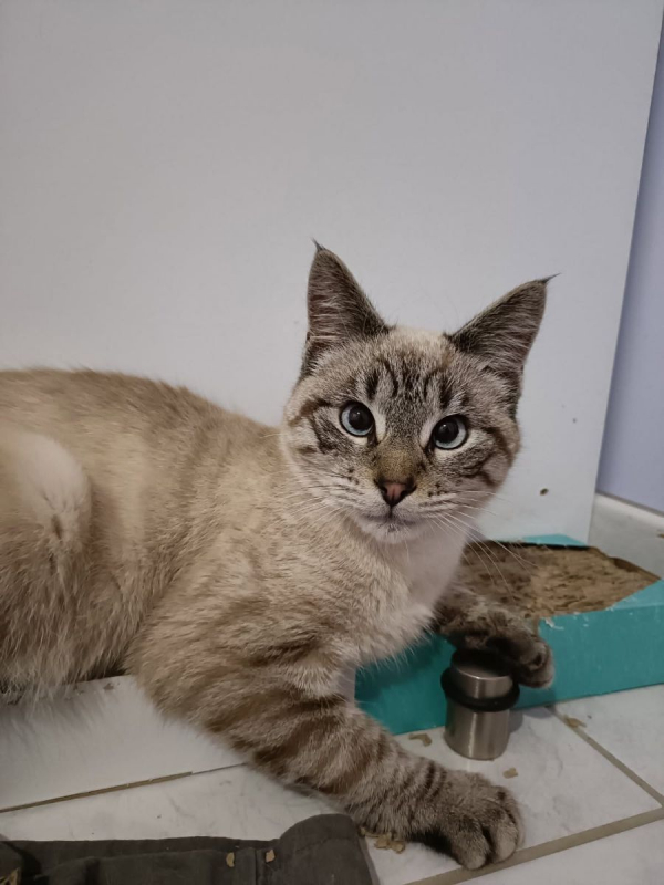 Photo #1 de Charmant