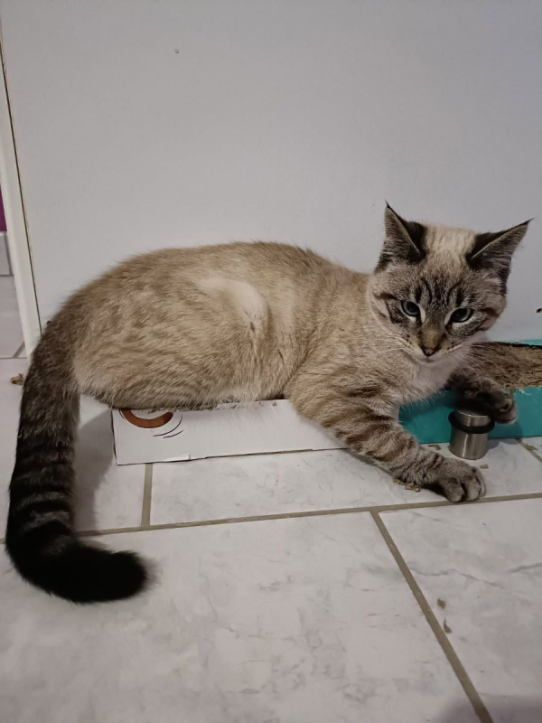 Photo #3 de Charmant