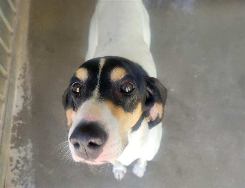 Photo de Georges alain