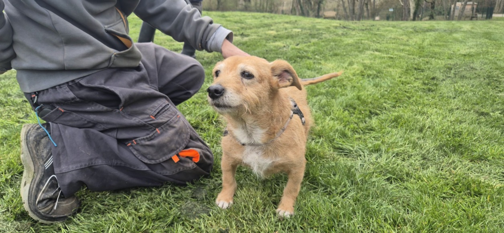 Photo #1 de Poupette