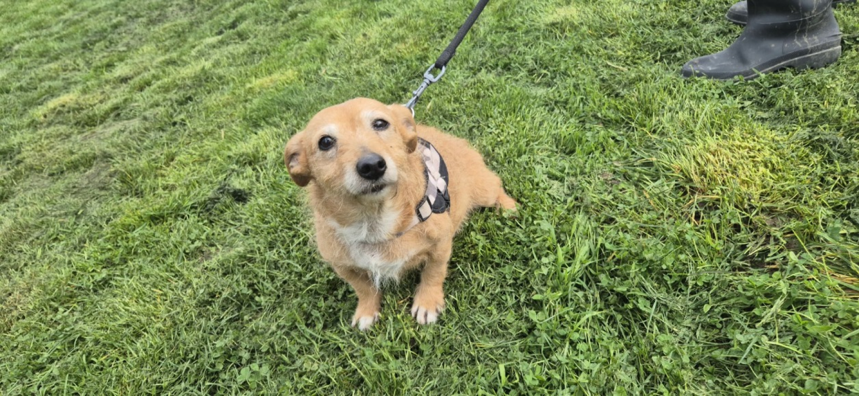 Photo #2 de Poupette