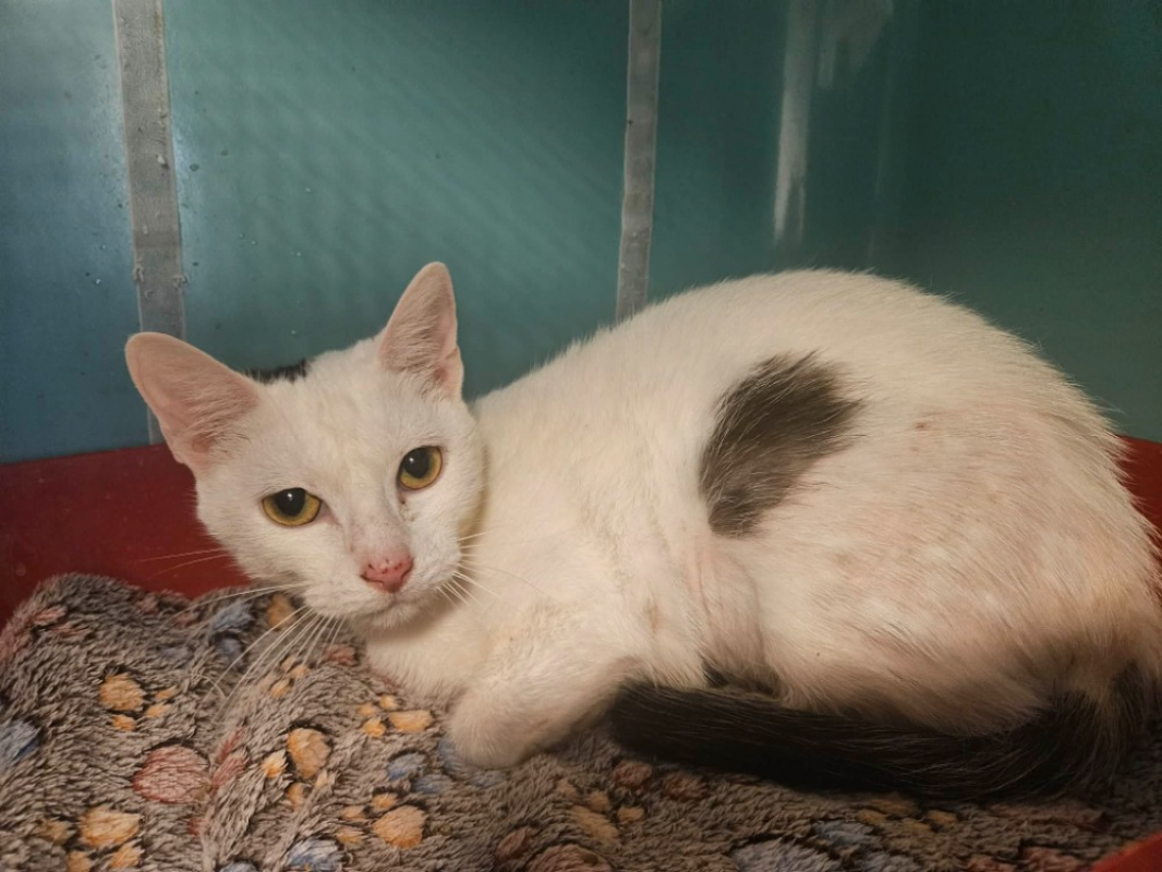 Photo de Noumea - reserve