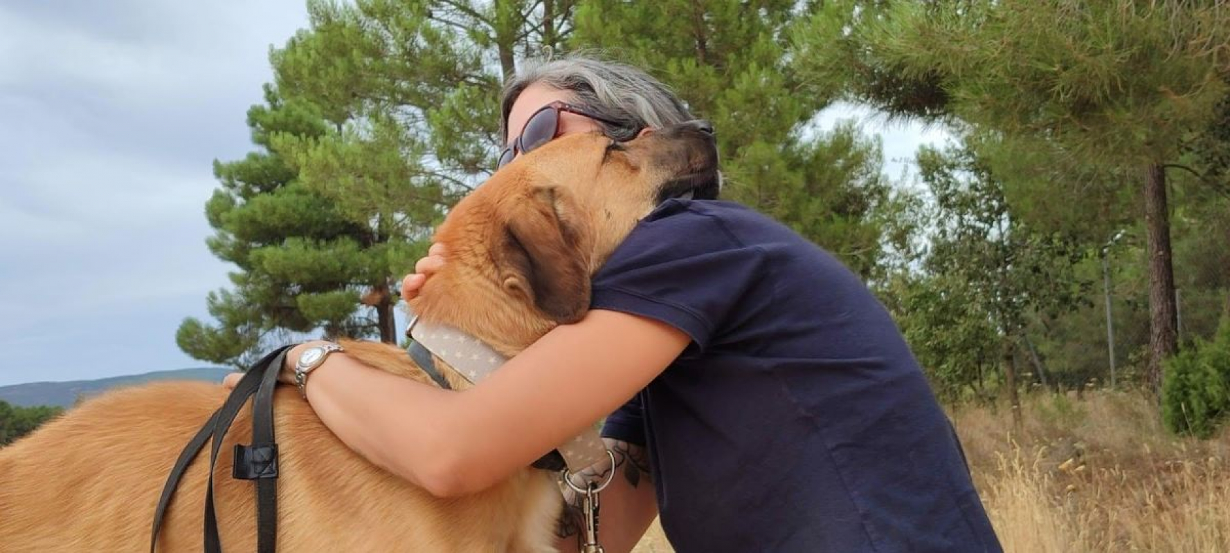 Photo #2 de CARACOL, jeune beau et affectueux !