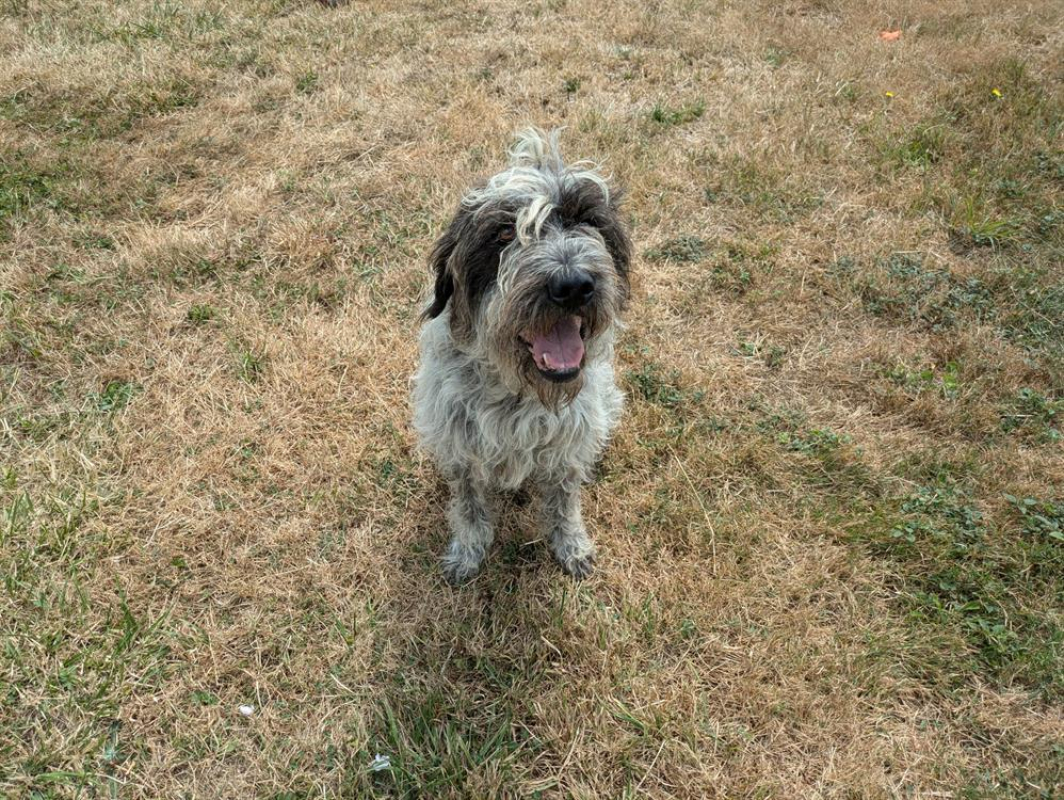 Photo #1 de Foufille