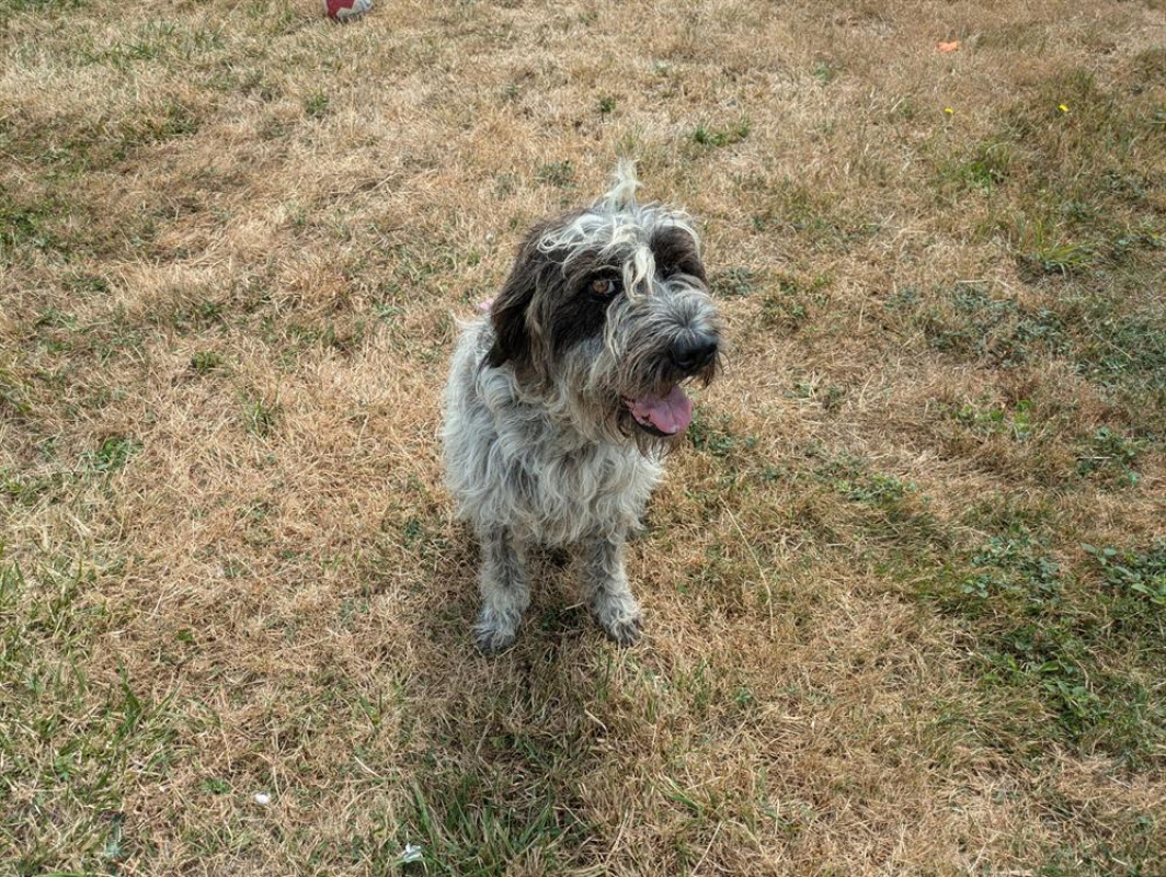 Photo #3 de Foufille