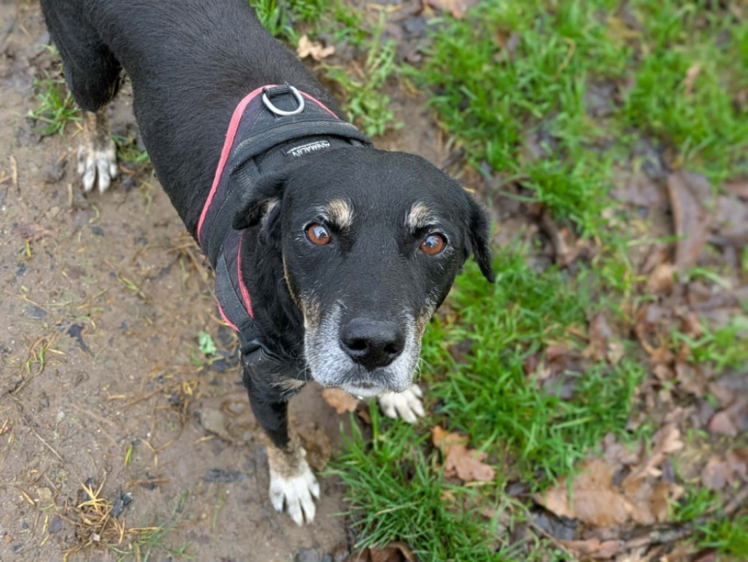 Photo #3 de Jean-louis