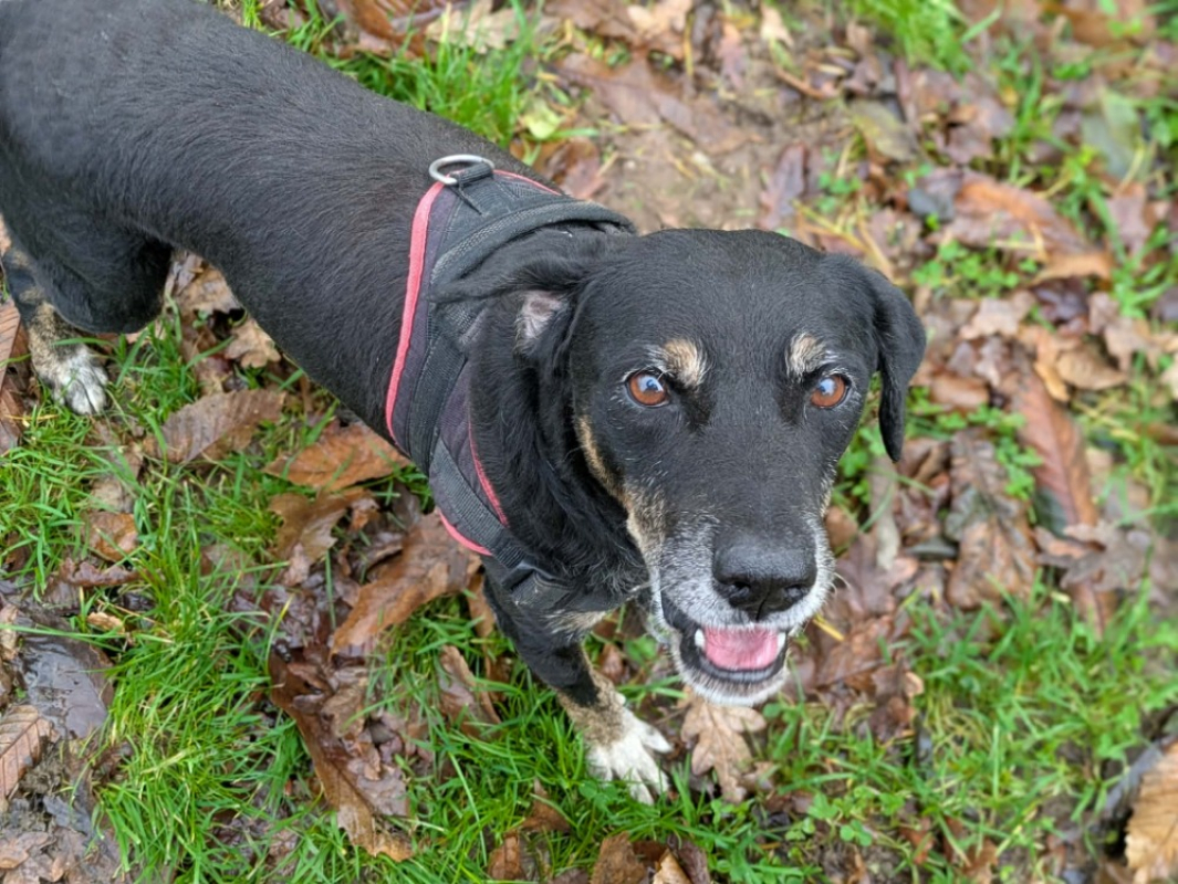 Photo #1 de Jean-louis