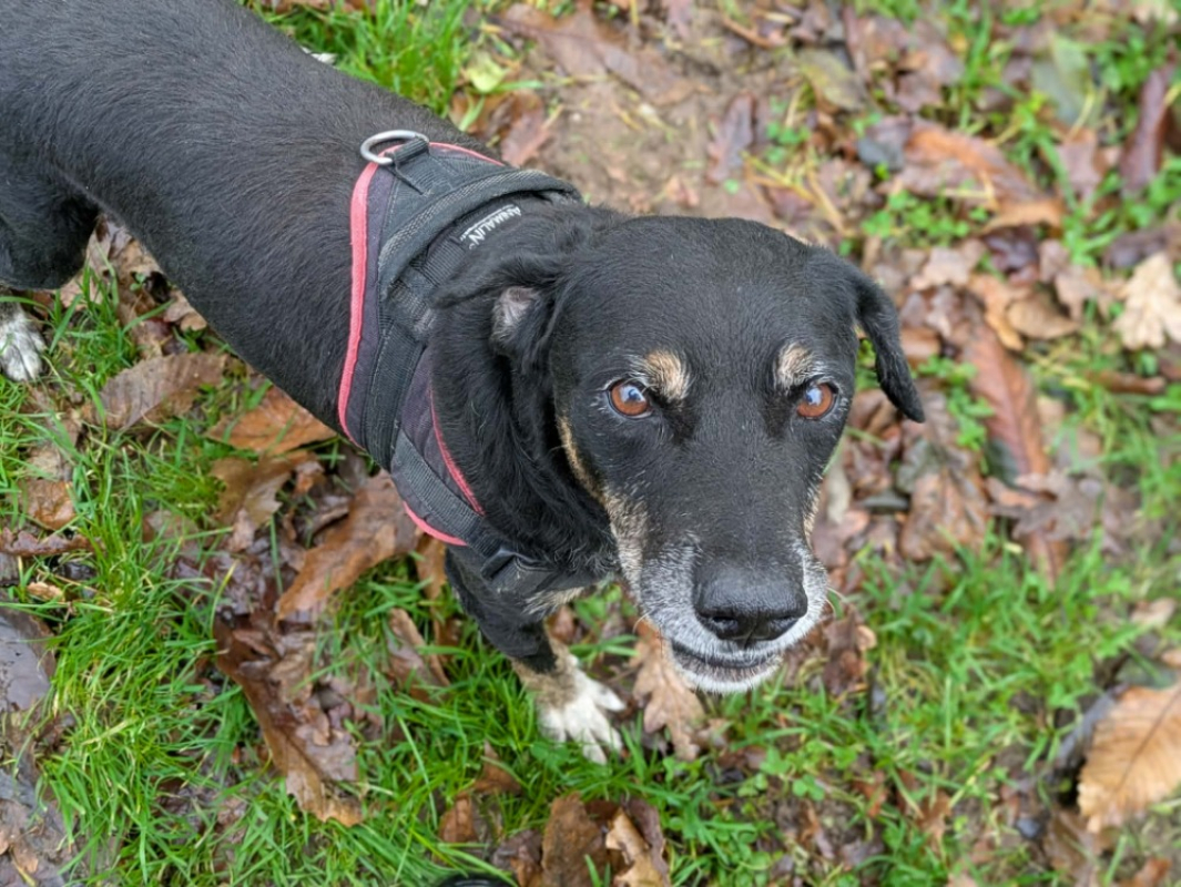 Photo #5 de Jean-louis