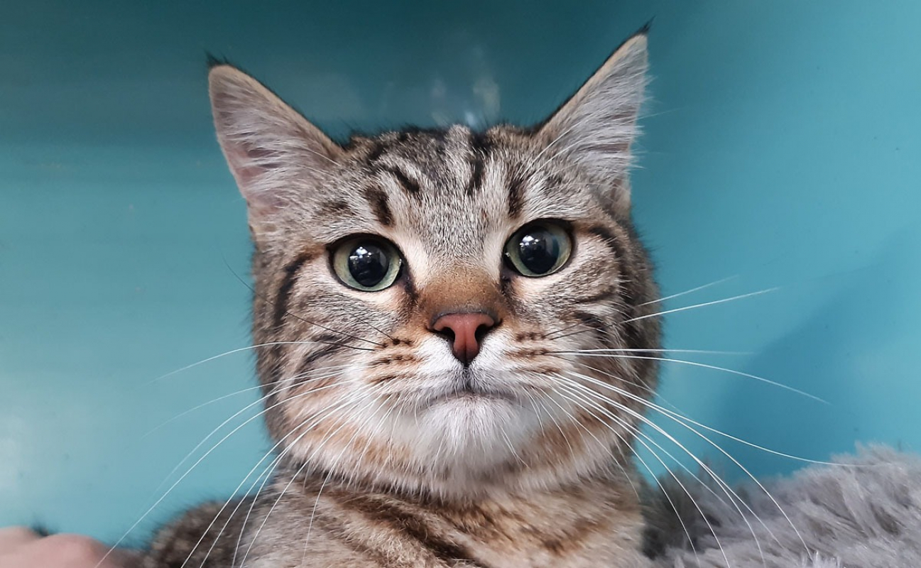 Photo #1 de Frileuzz