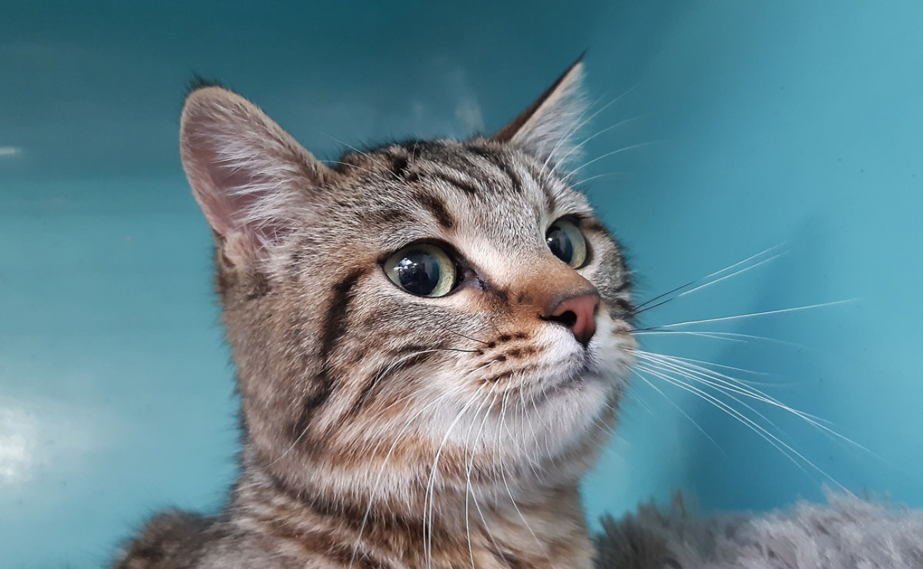 Photo #2 de Frileuzz