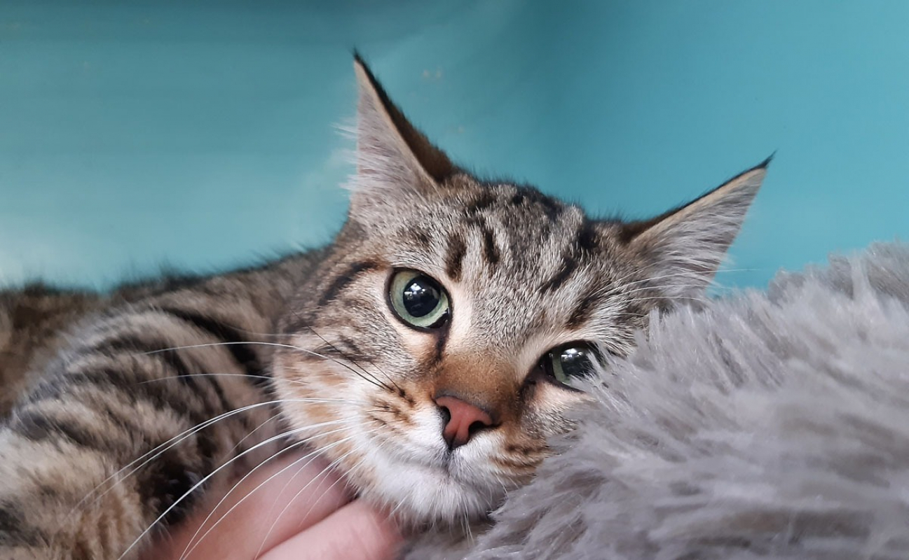 Photo #3 de Frileuzz