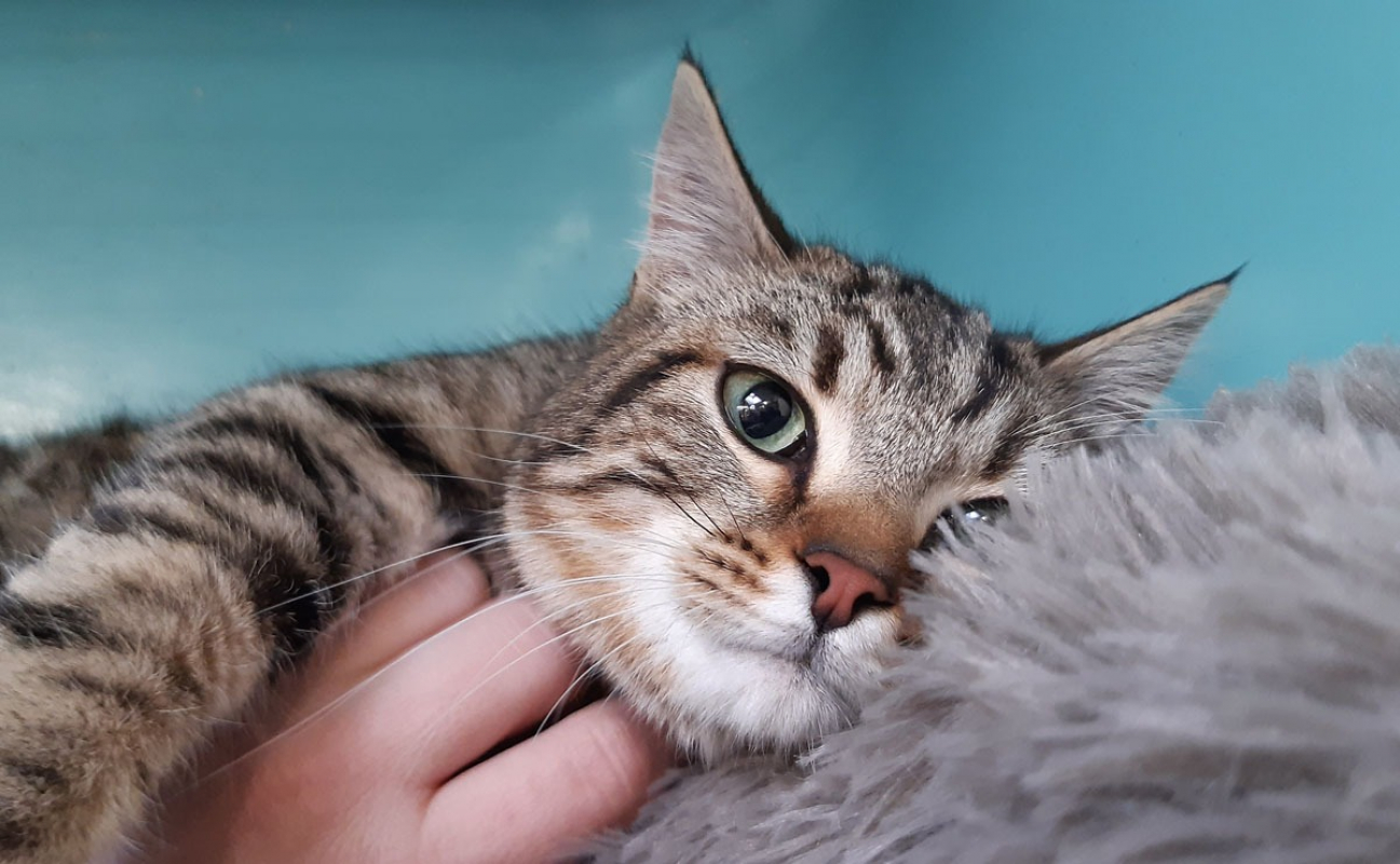 Photo #4 de Frileuzz