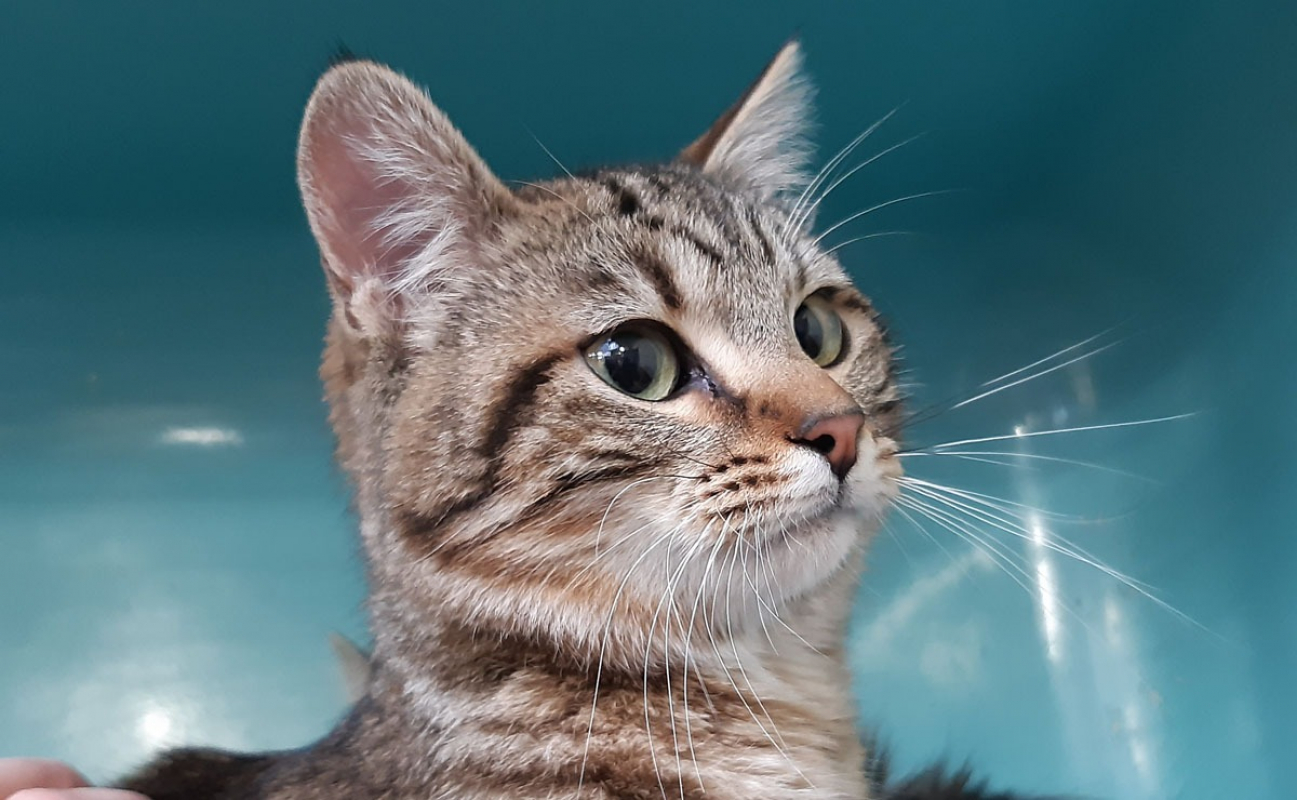 Photo #5 de Frileuzz