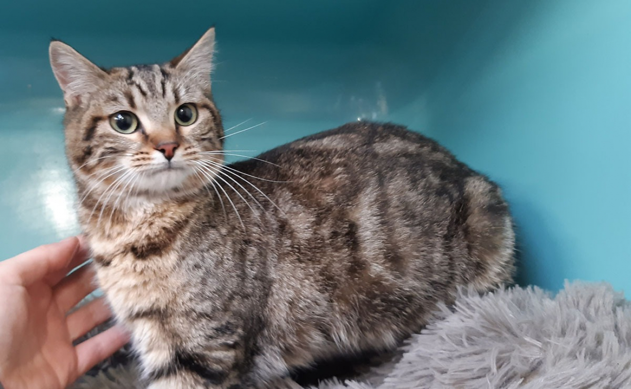 Photo #6 de Frileuzz