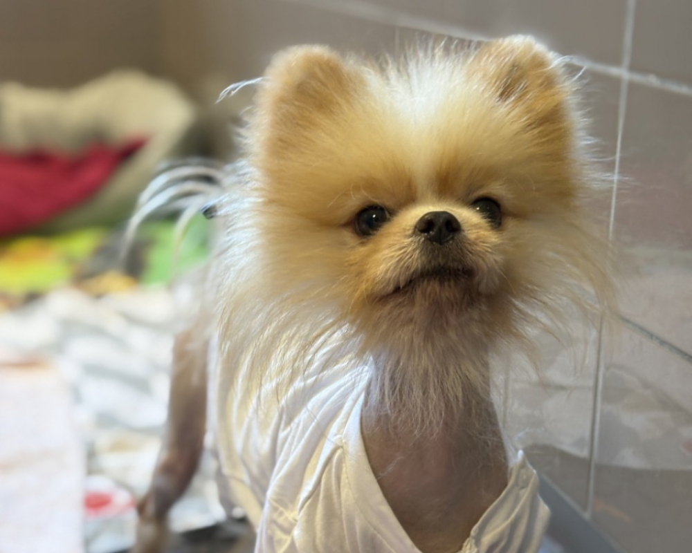 Photo #2 de Dimochka/youshka