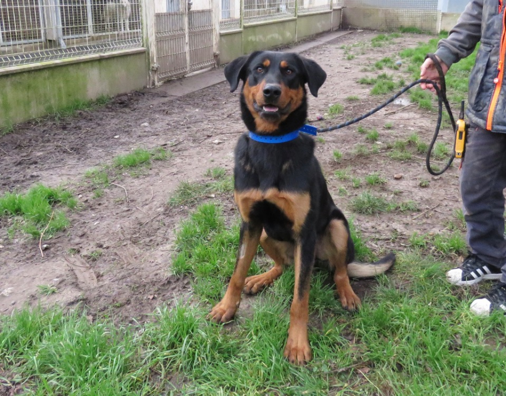 Photo #5 de Beaugosse