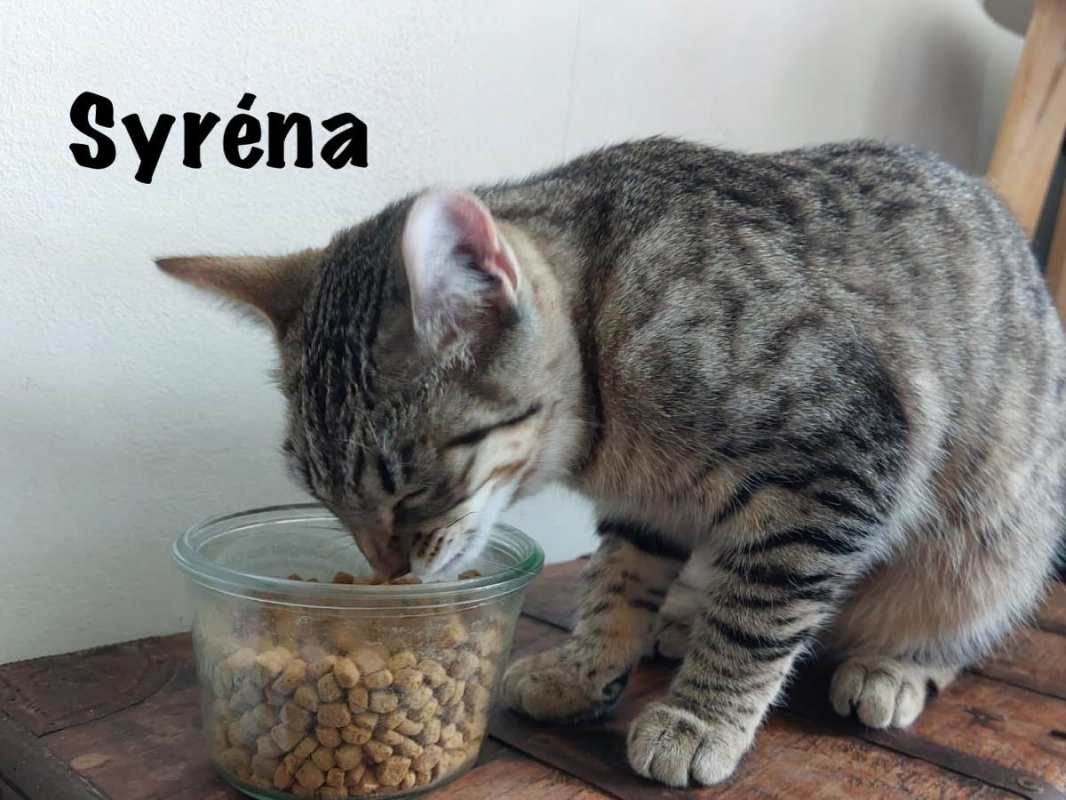 Photo #2 de SYSSY & SYRENA