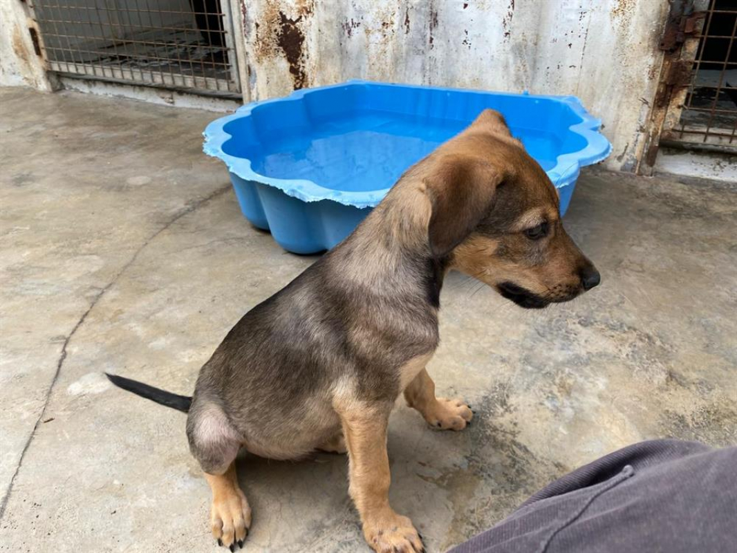 Photo #2 de Plouf dit ninja