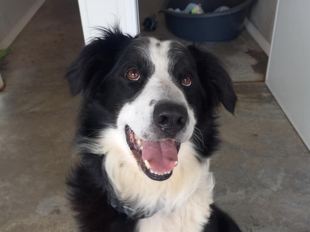 Photo #1 de Solidays