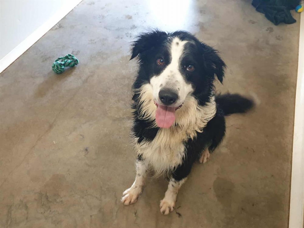 Photo #5 de Solidays