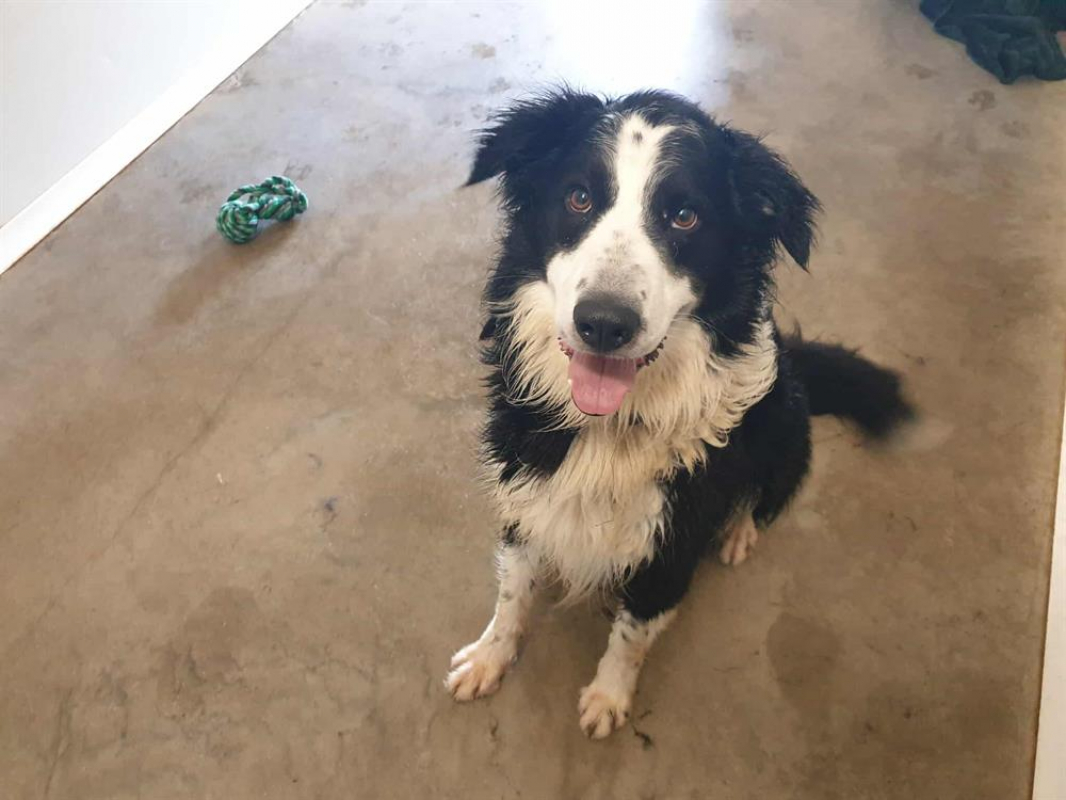 Photo #6 de Solidays