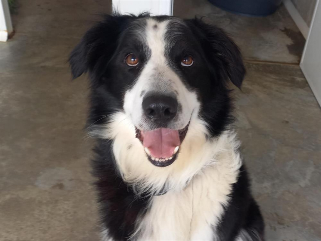 Photo #3 de Solidays