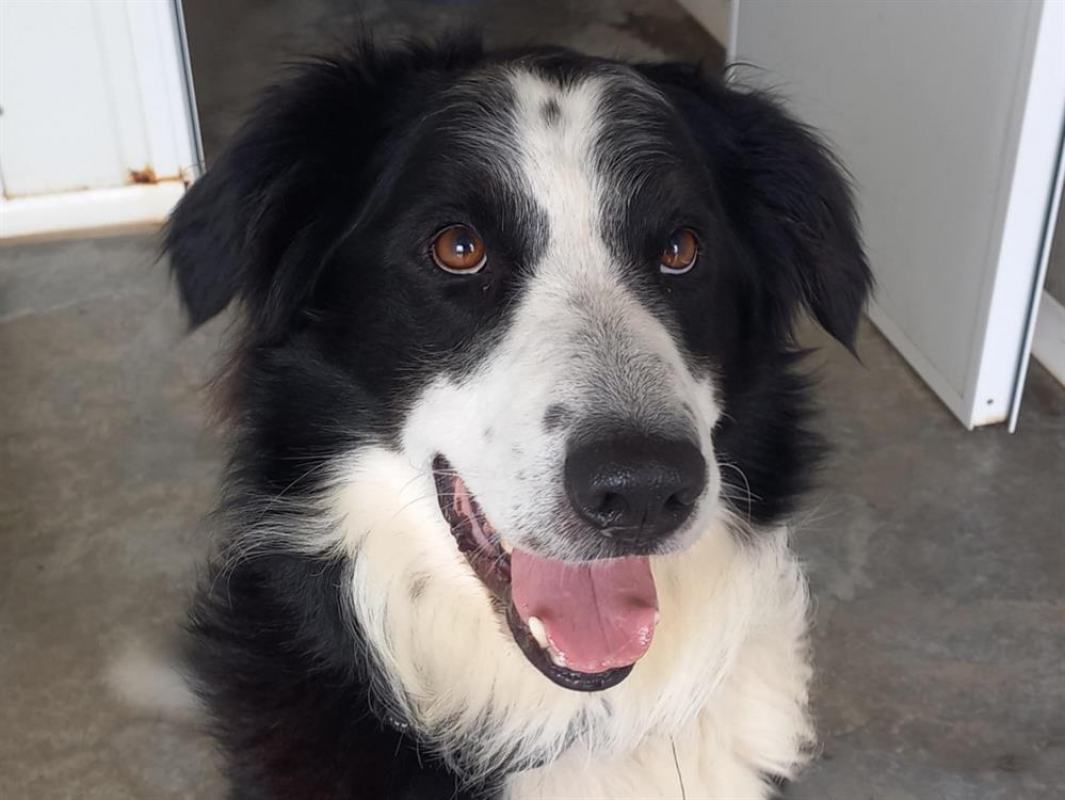 Photo #2 de Solidays