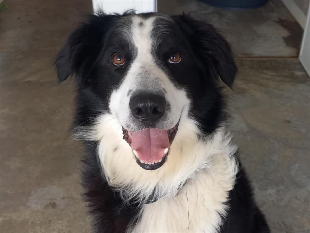 Photo #3 de Solidays