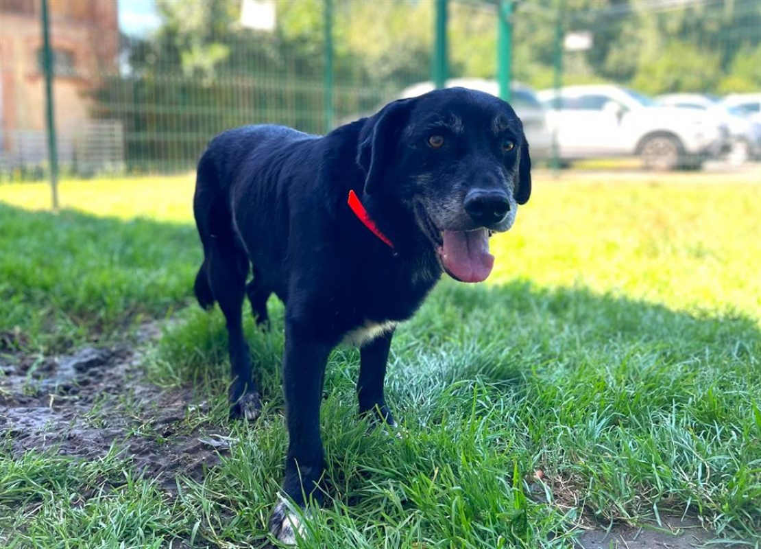 Photo #1 de Citibule dit bouboule