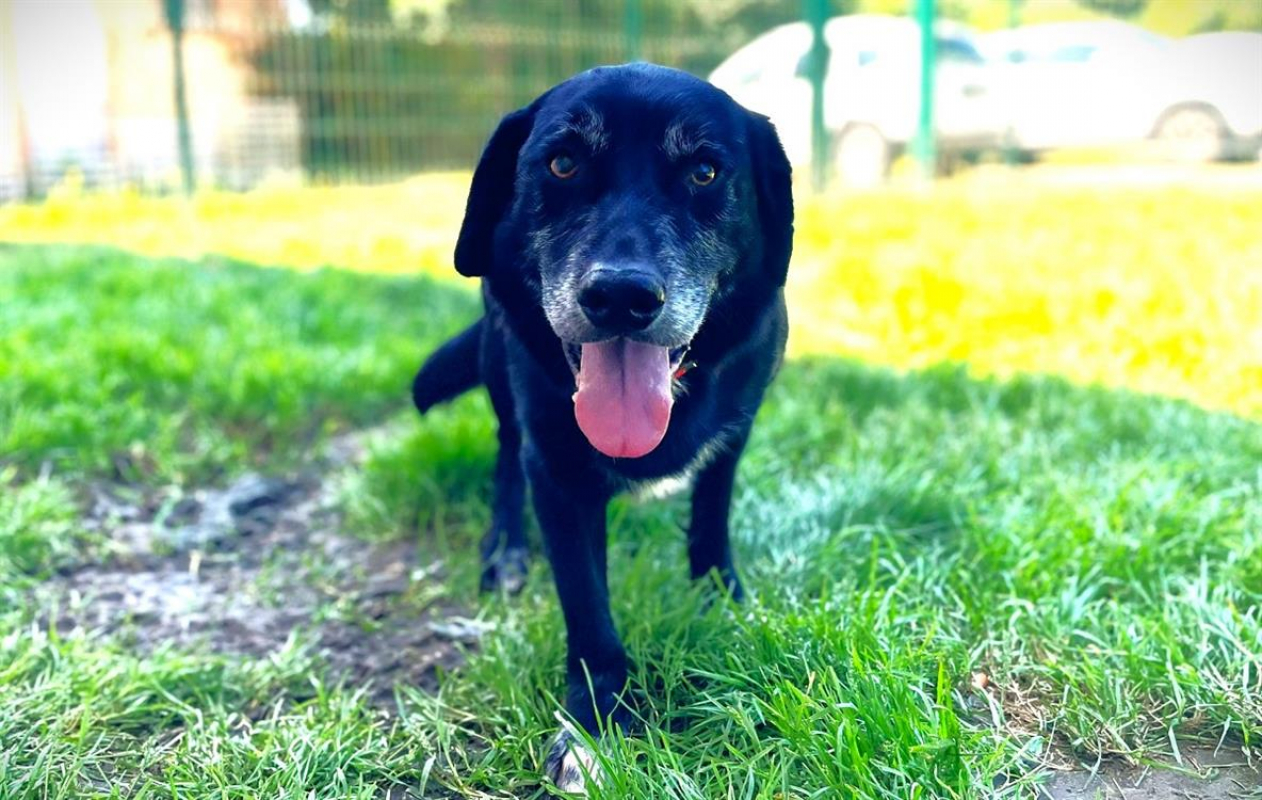 Photo #3 de Citibule dit bouboule