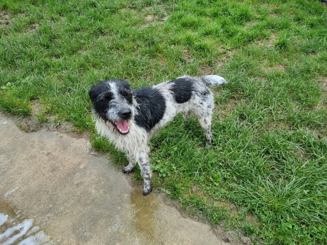 Photo #3 de Pipounette