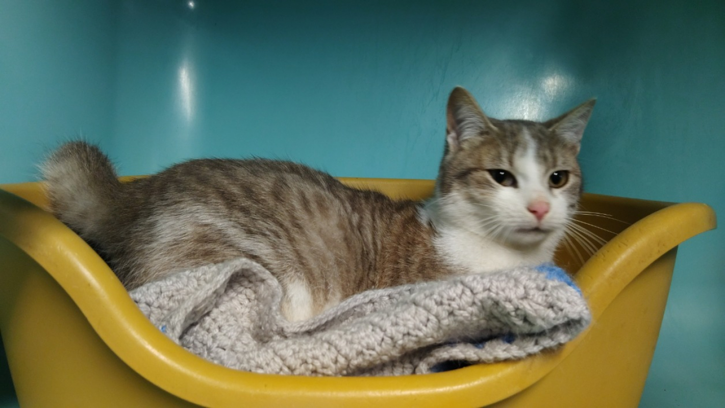 Photo de Poupy réservé