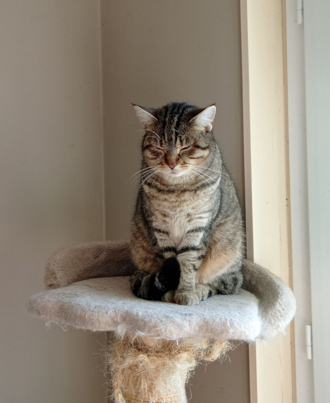 Photo #1 de La Crêpe