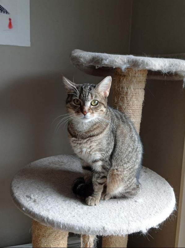 Photo #3 de La Crêpe