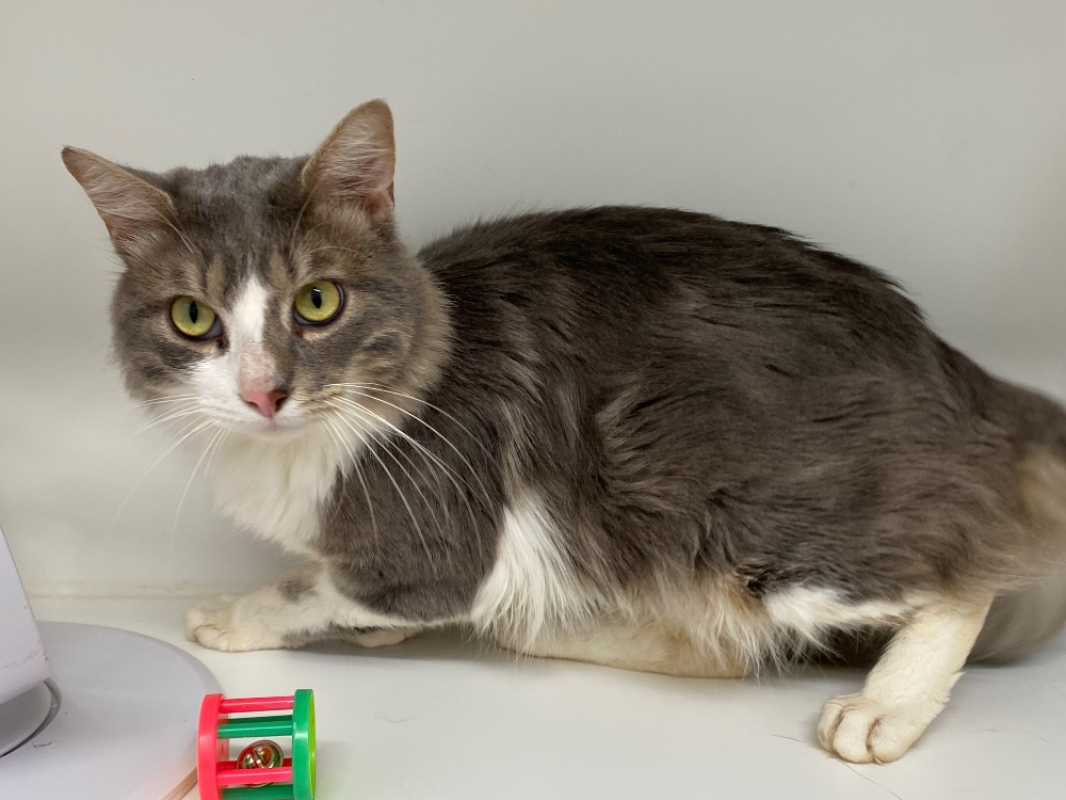 Photo #1 de Clotaire