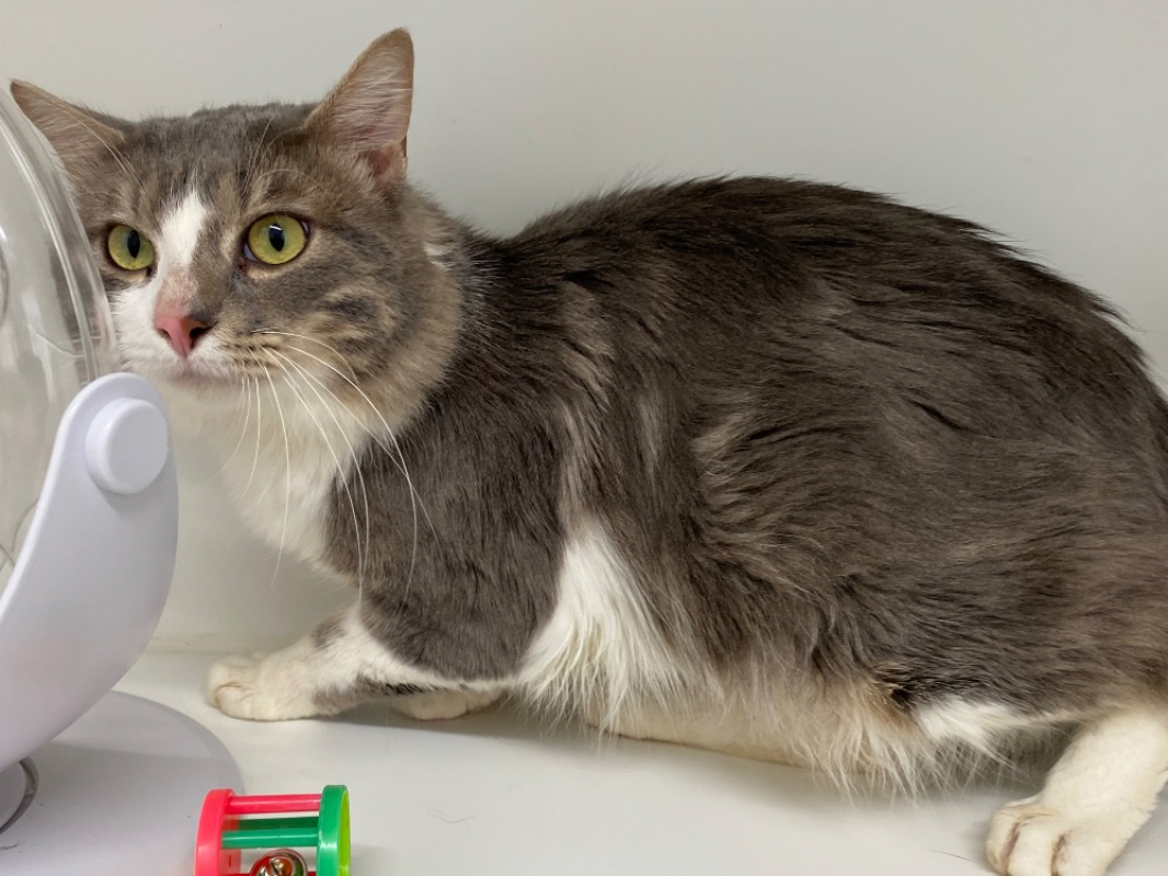 Photo #2 de Clotaire