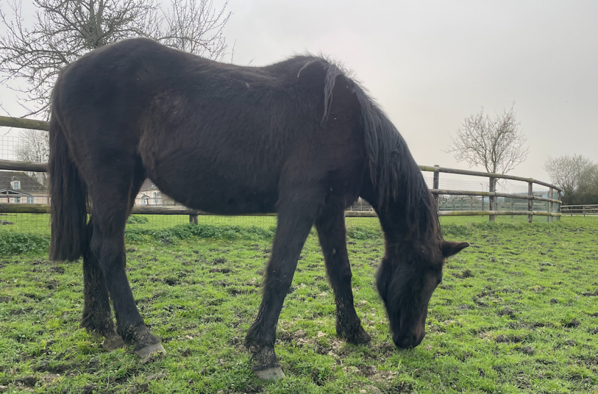 Photo de Mary d'ancoeur