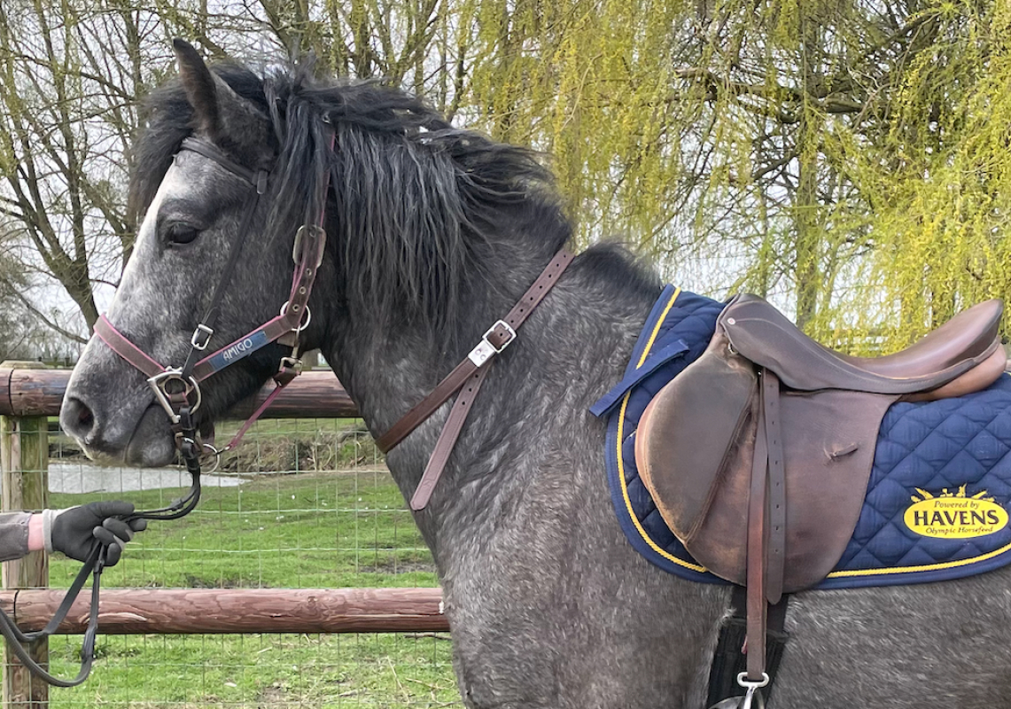 Photo de Moulin rouge