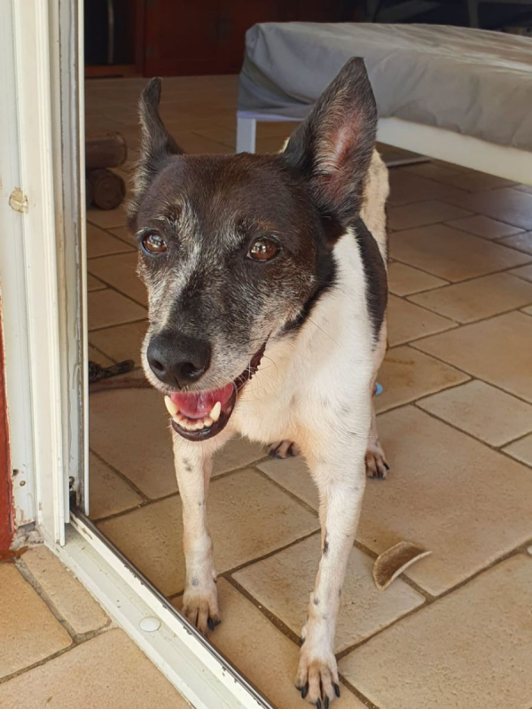 Photo #2 de parrafine