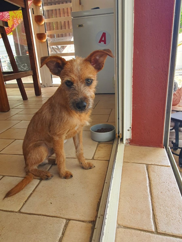 Photo #3 de Tristouille