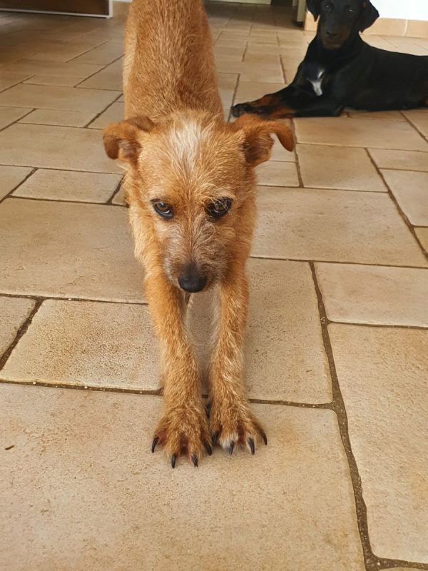 Photo #4 de Tristouille