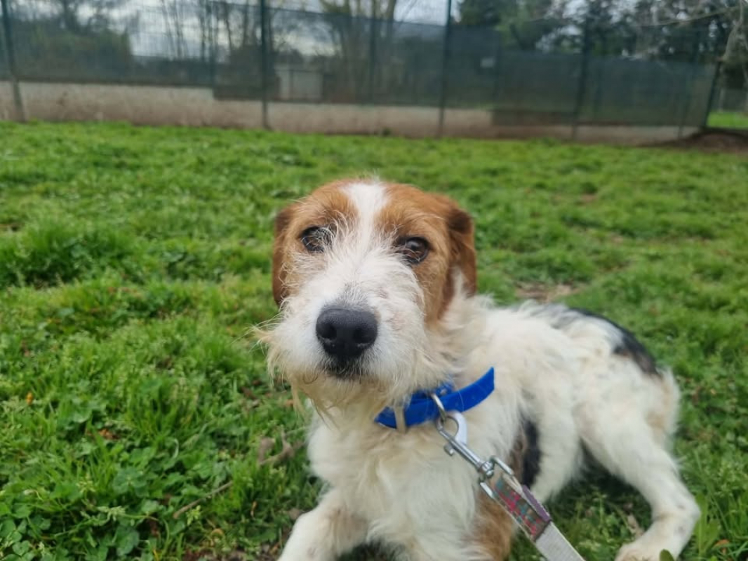 Photo #3 de Soquette