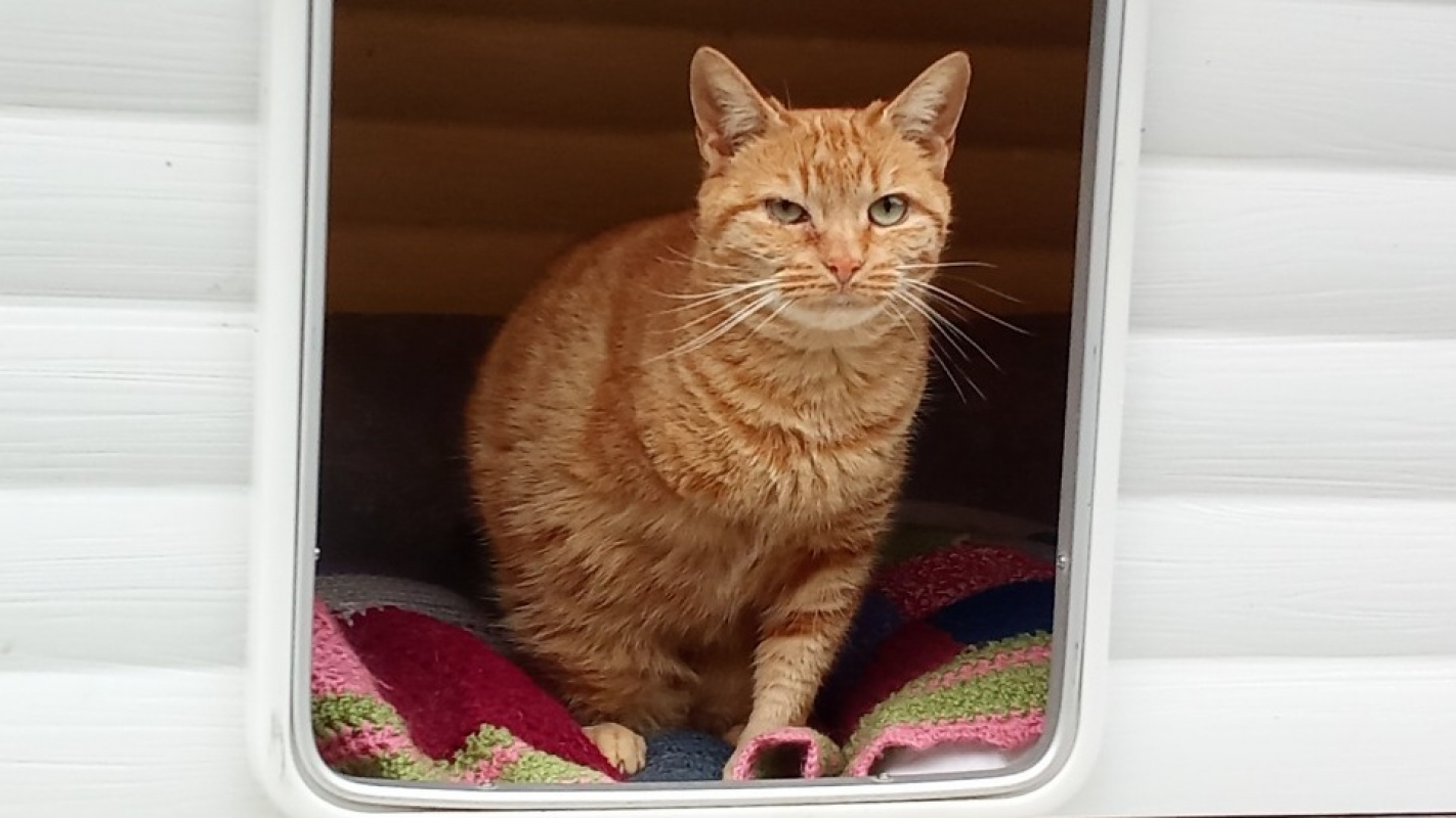 Photo #2 de Arythmie