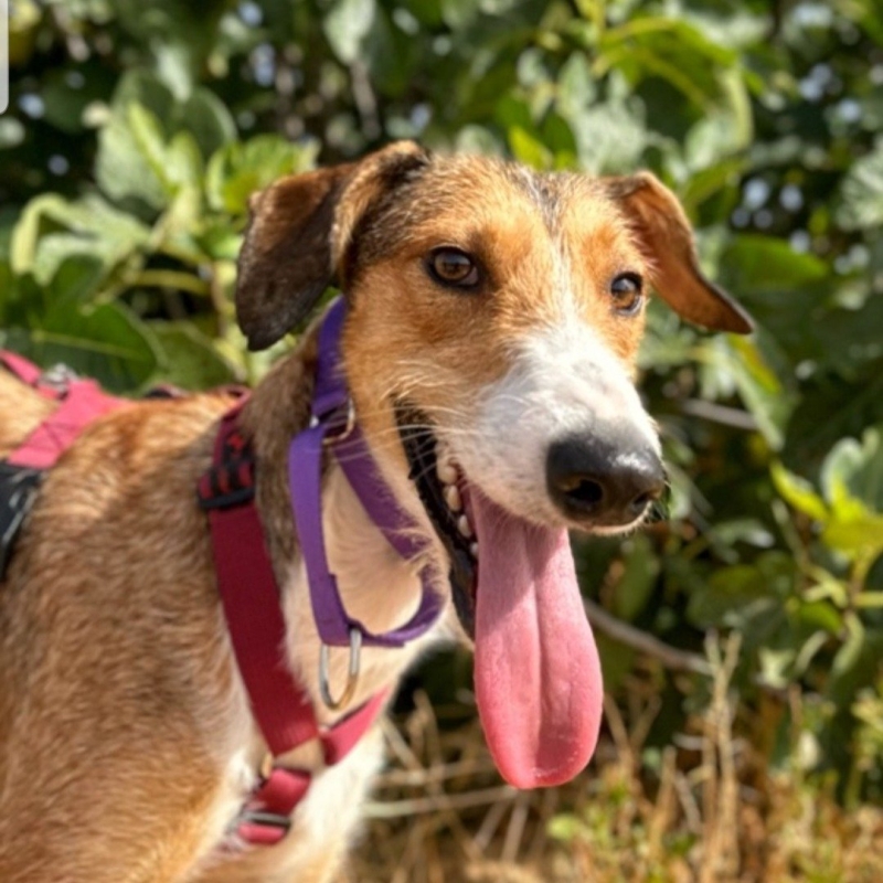 Photo de Ernie