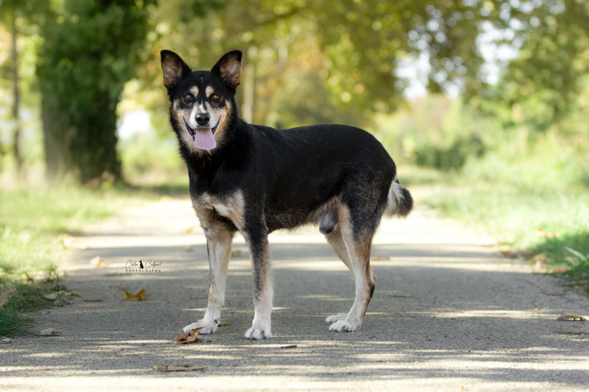 Photo #1 de Kimbalou